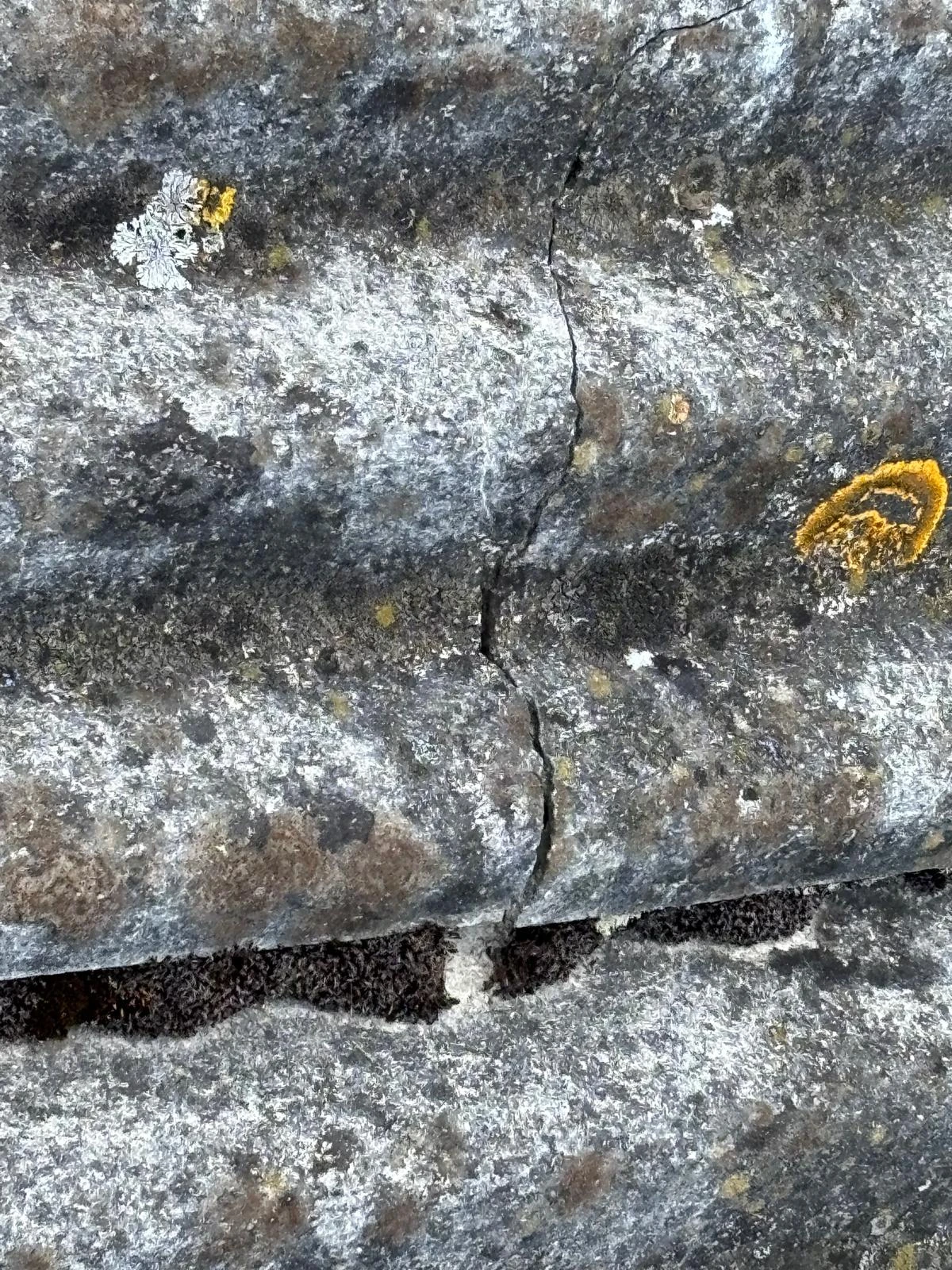 Cracked asbestos roofing material showing hazardous fibre exposure in Dublin property